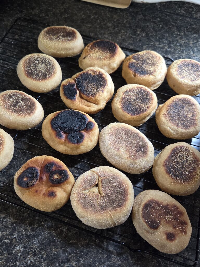 English muffins on a cooling rack 