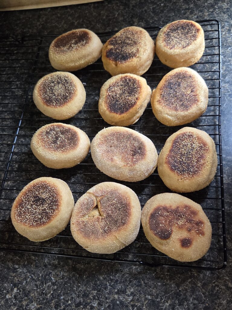 finished english muffins 