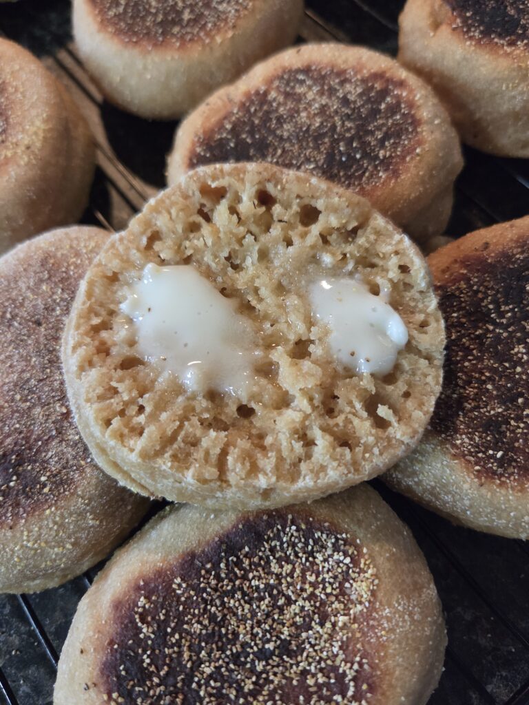 inside texture of an English muffins