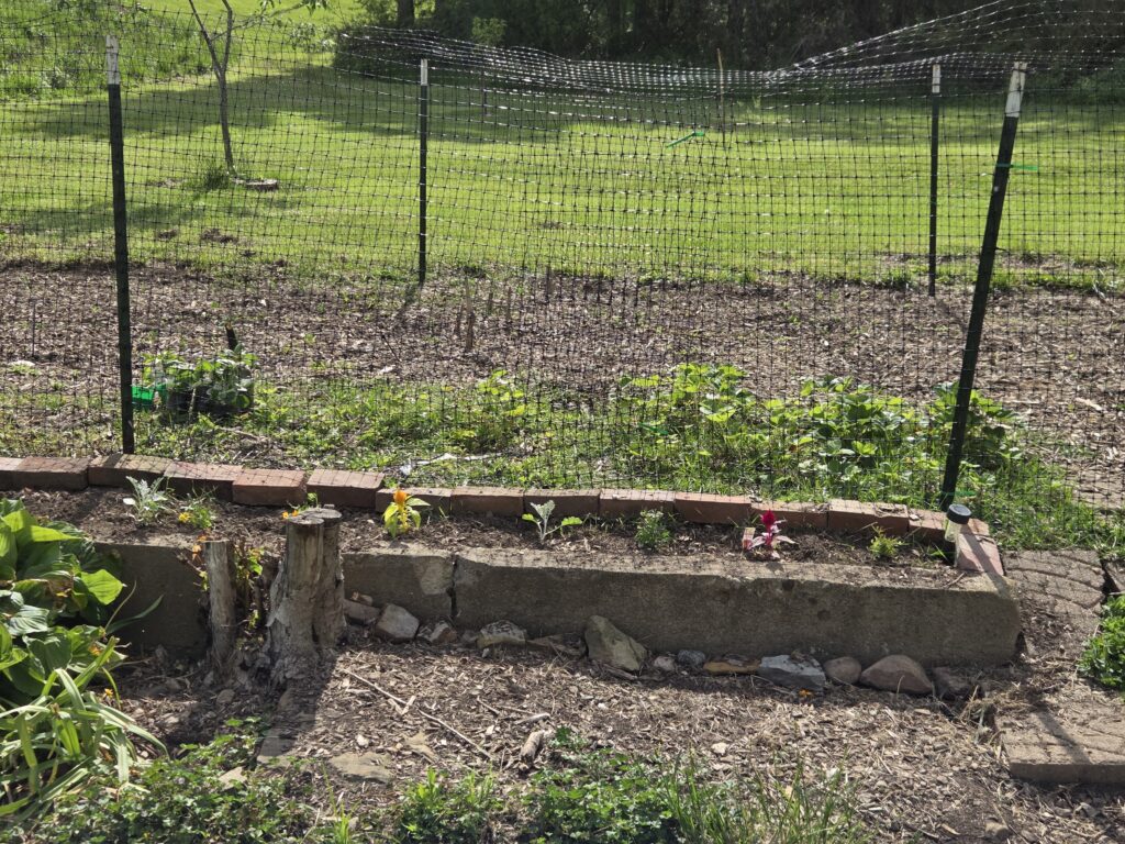 garden updates 