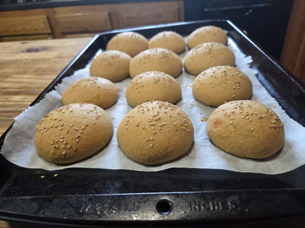 hamburger buns