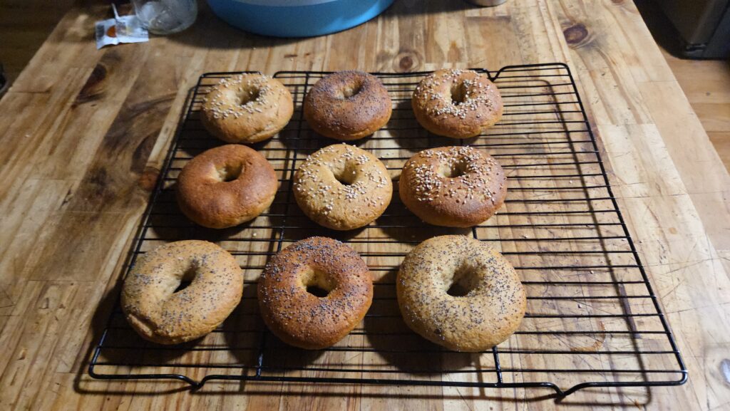 bagels on a cooling rack