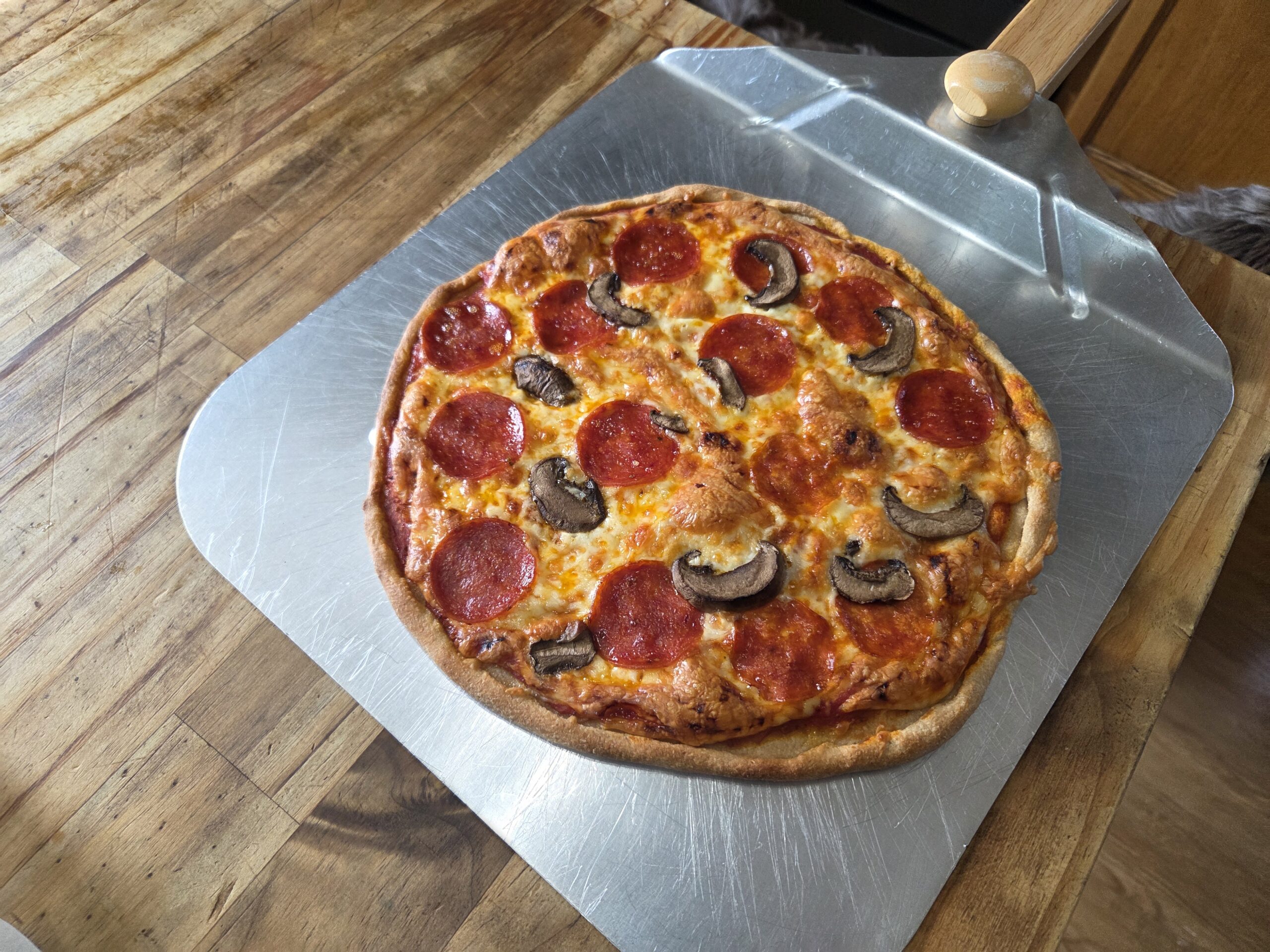 Sourdough pizza for  the Recipe Index
