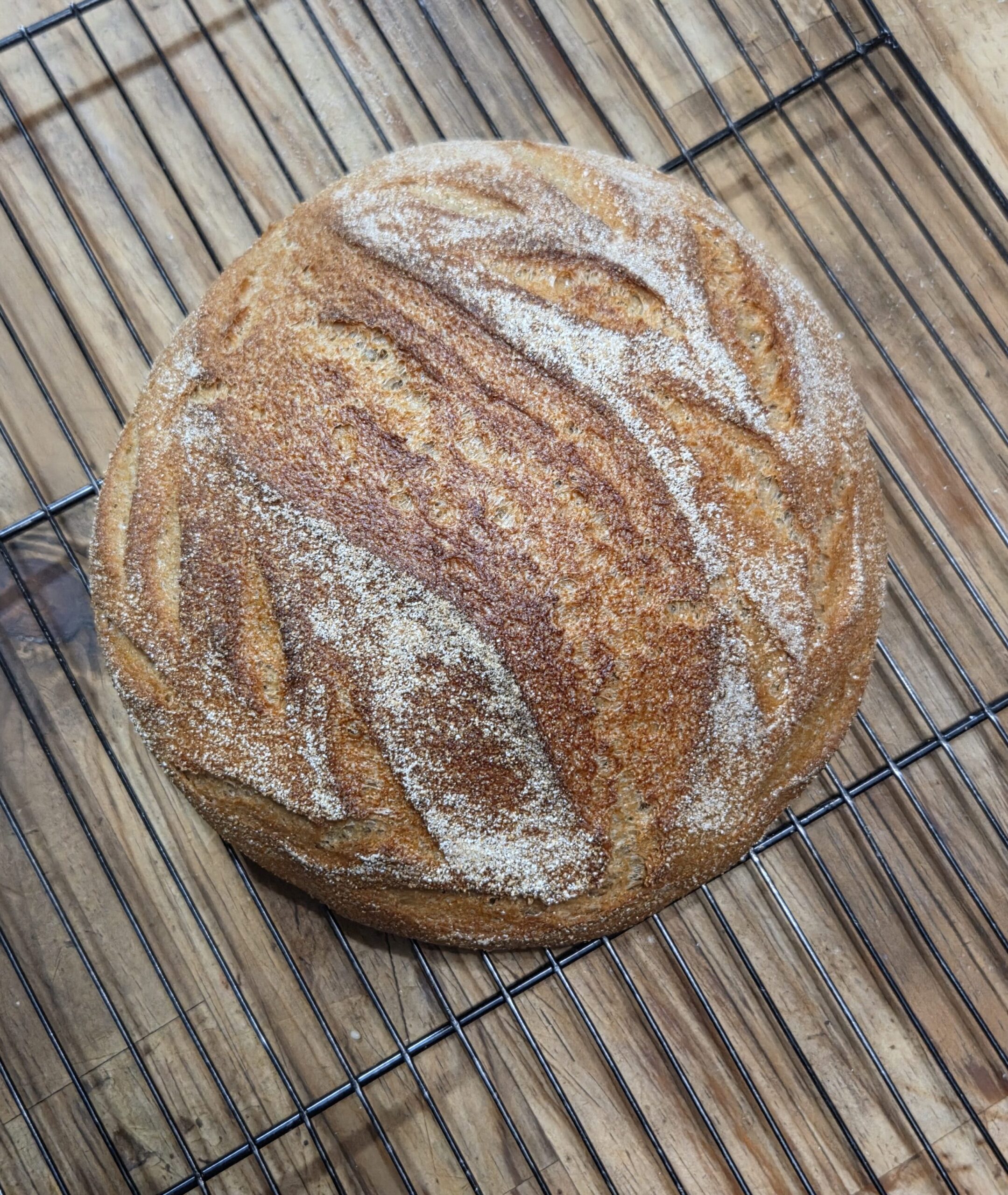 Artisan fresh milled flour sourdough loaf