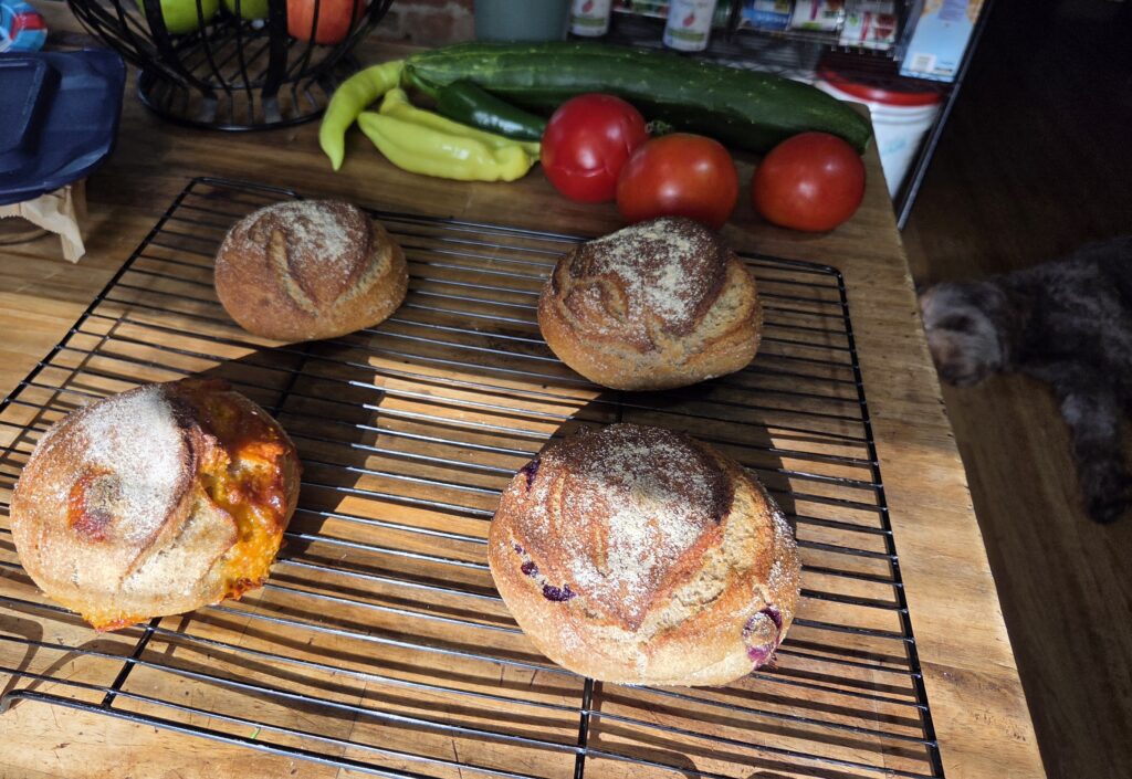Maple with me and the sourdough loaves