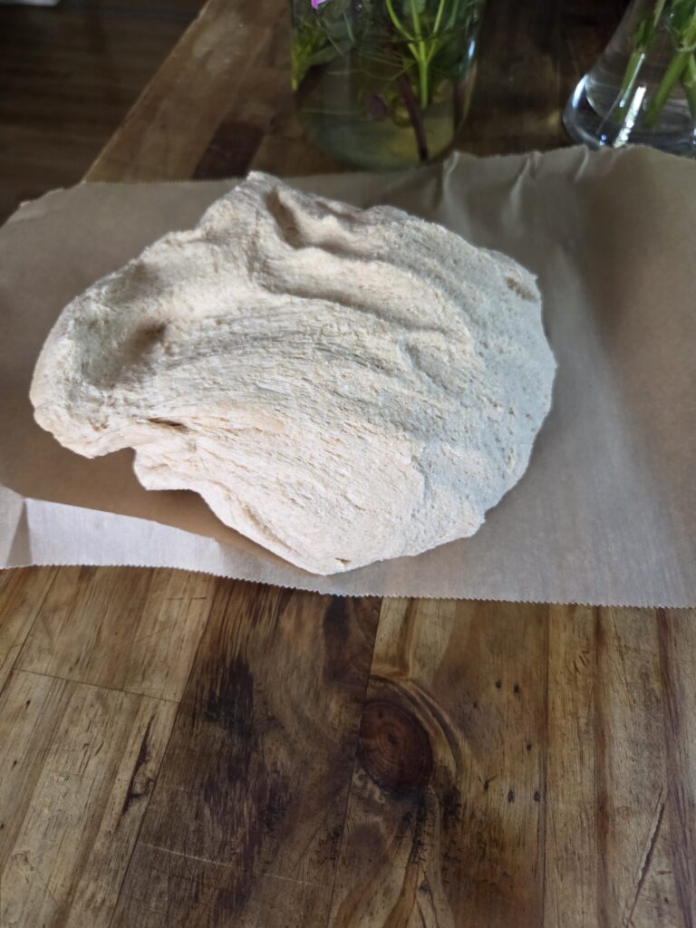 dough ready to shape