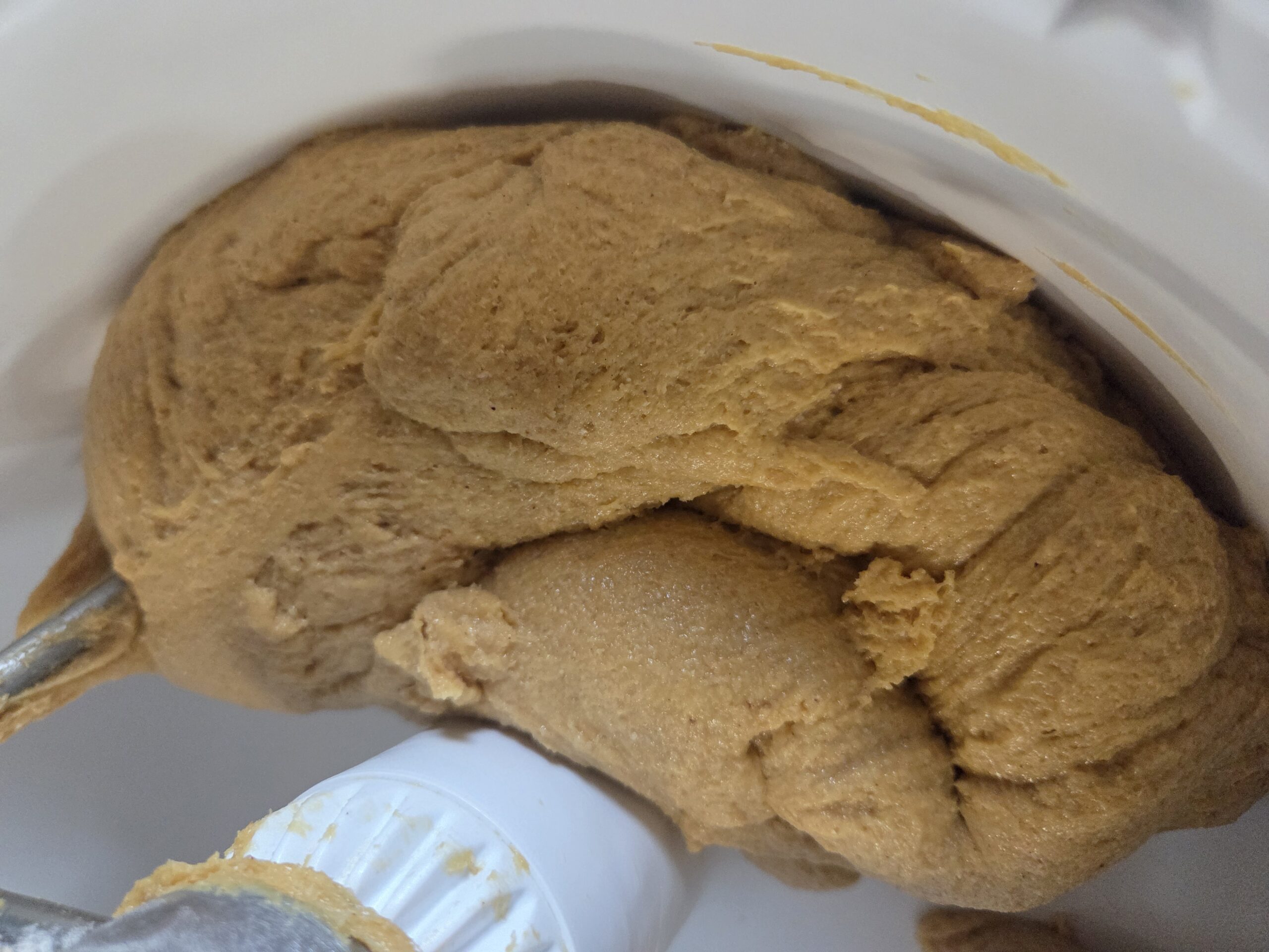 pumpkin cinnamon roll dough