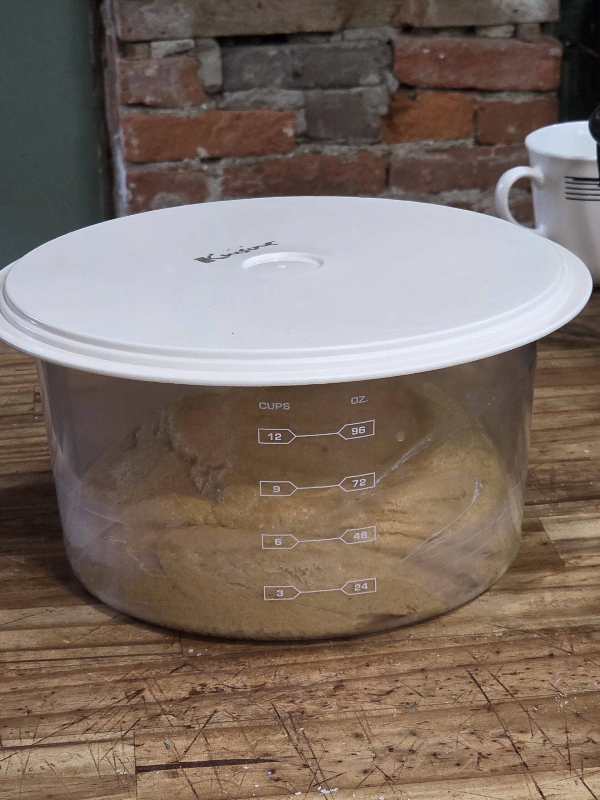 cinnamon roll dough rising