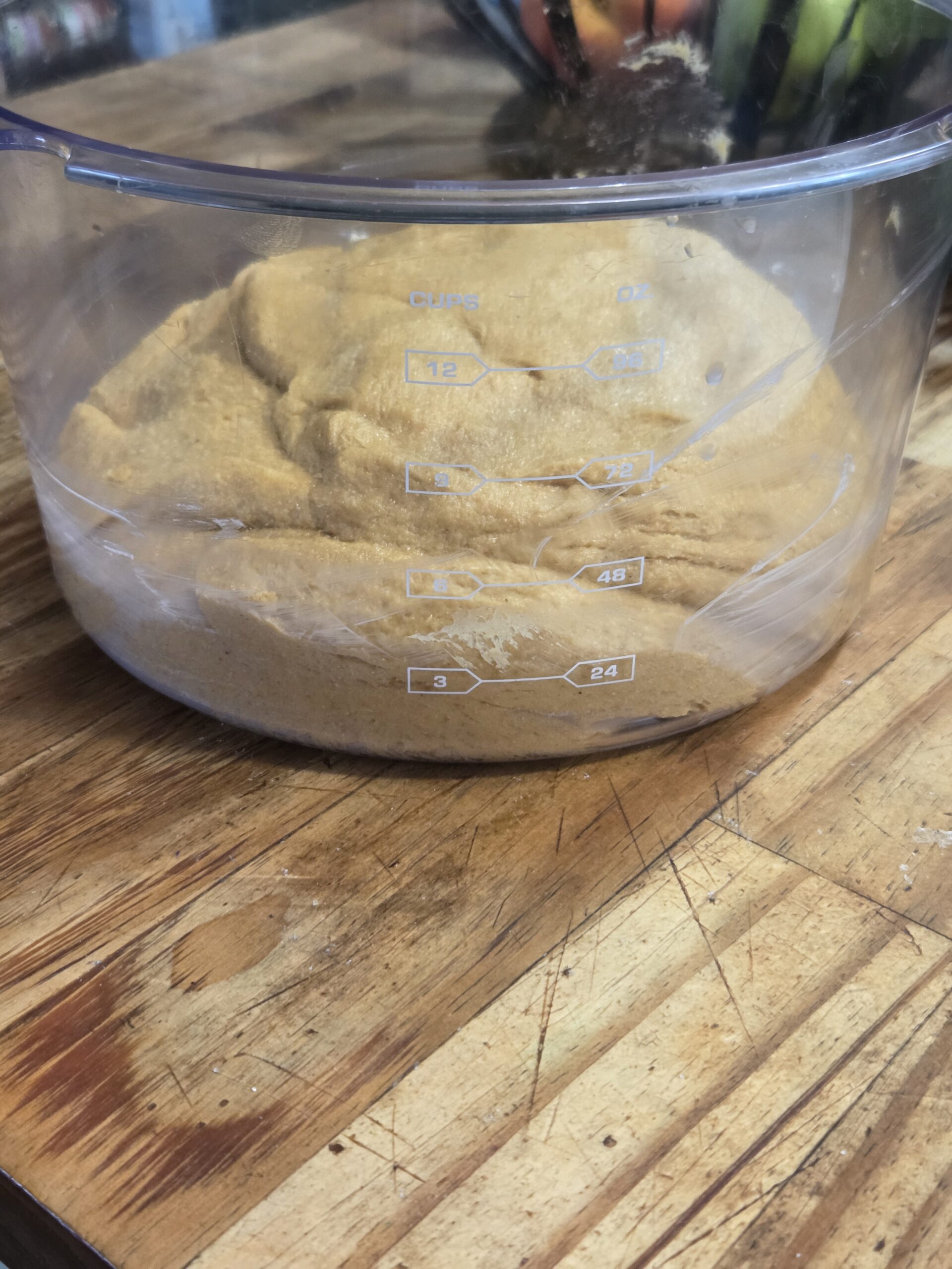 proofing cinnamon roll dough