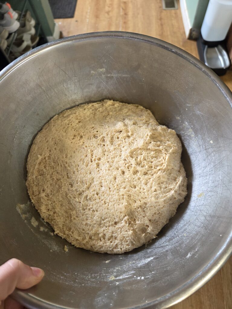 bubbly focaccia dough