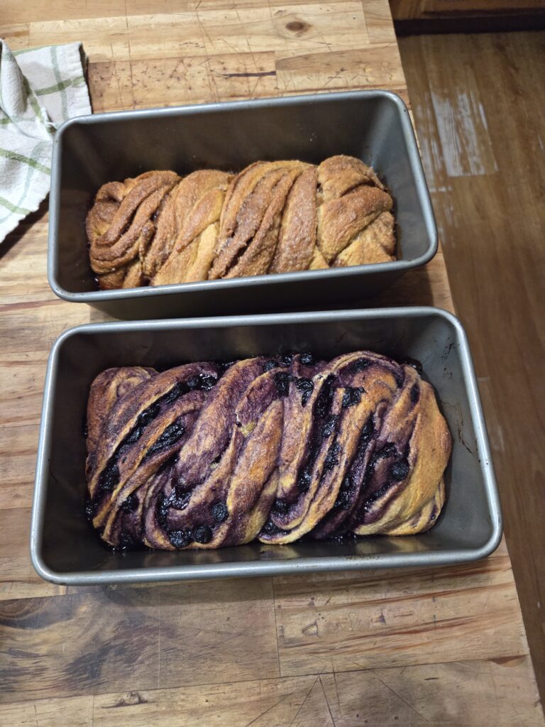 blueberry babka and cinnamon sugar babka