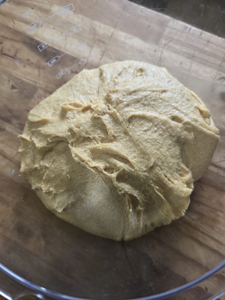 babka dough ready for shaping