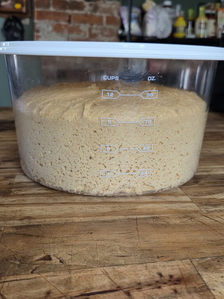 risen babka dough