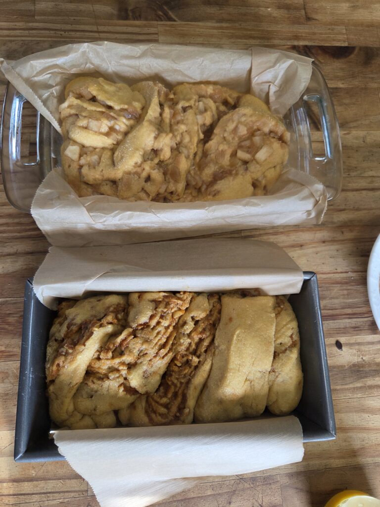 shaped babka loaves