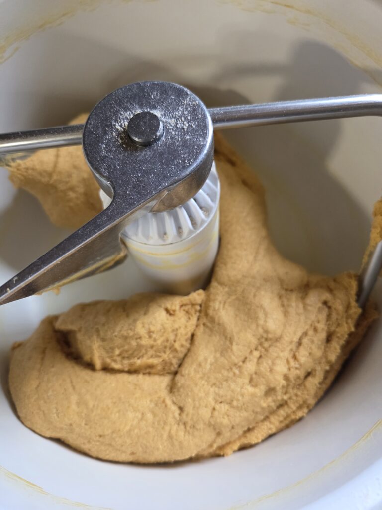 bagel dough being kneaded