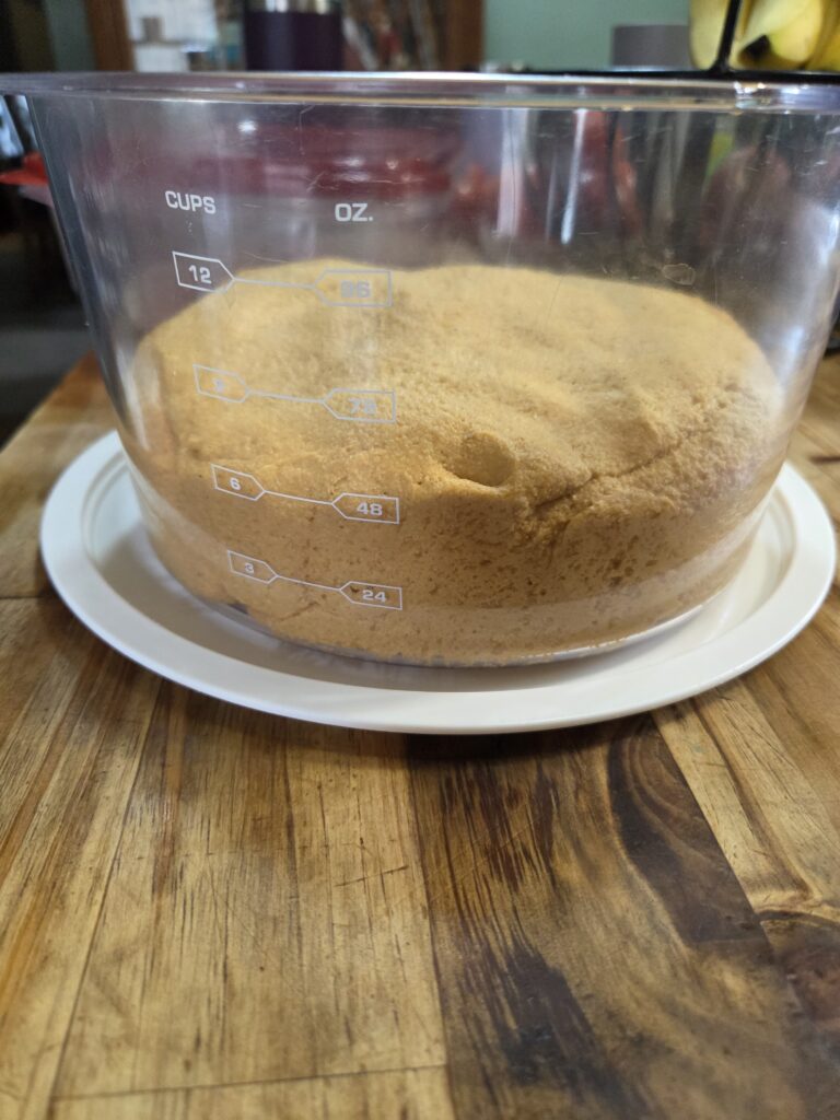 bagel dough rising