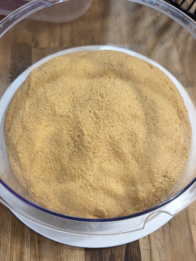 risen bagel dough