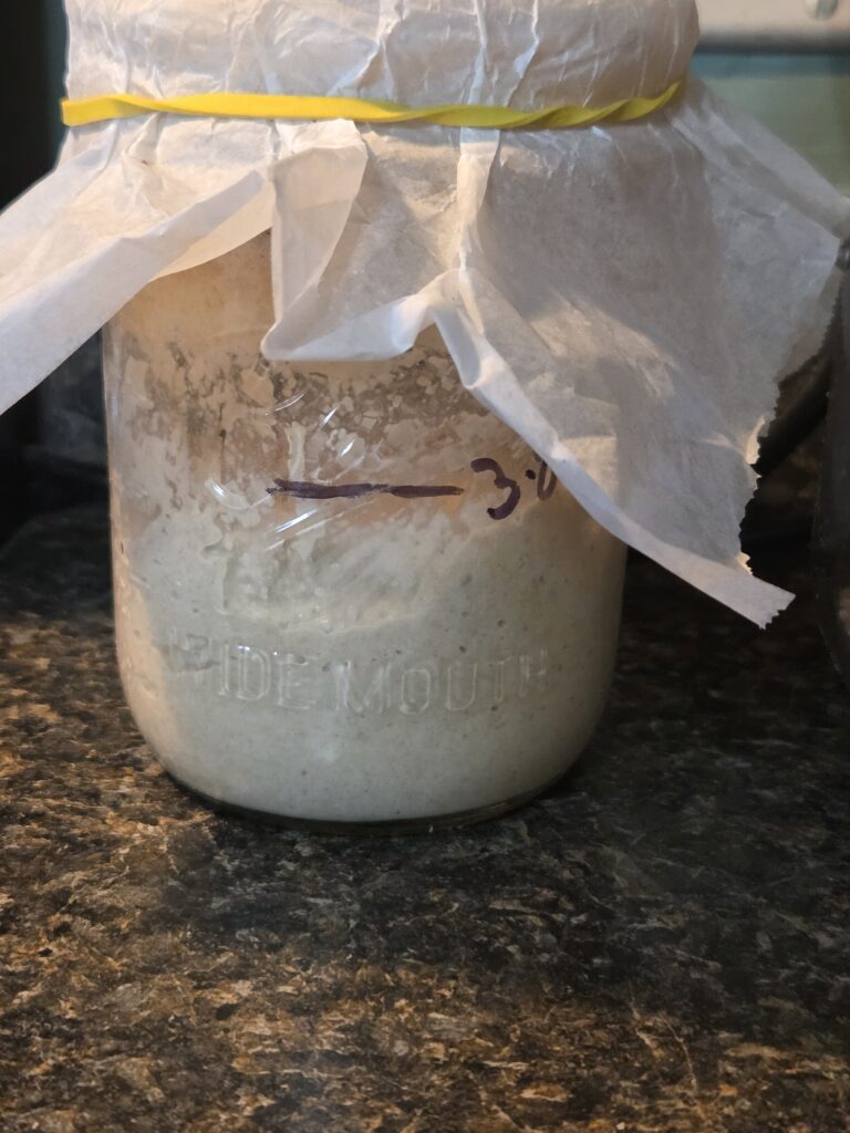 beginning sourdough starter