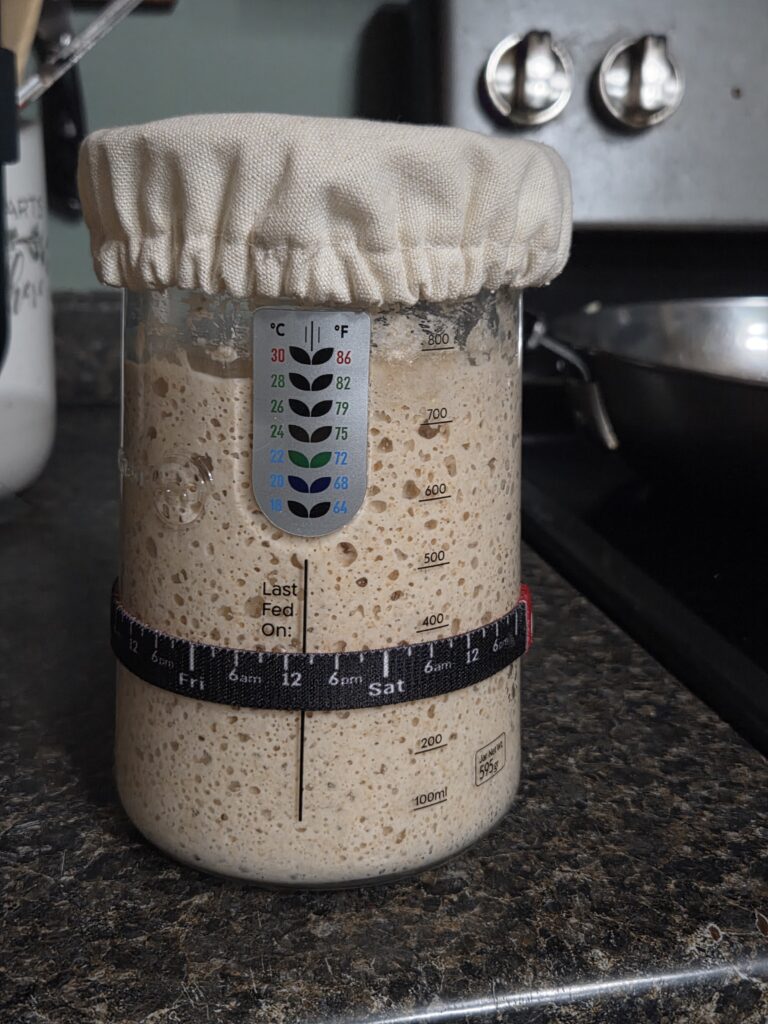 a jar of sourdough starter